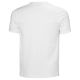 10. Helly Hansen Core Graphic T 2.0 M T-shirt 54599 002