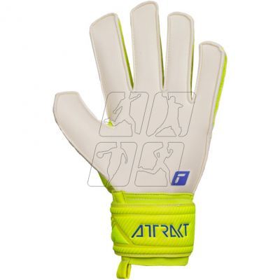 3. Goalkeeper gloves Reusch Attrakt Solid M 5270515 2001