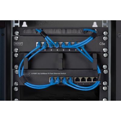 5. Digitus Wall-mounted enclosure 254 mm (10") - 312x300 mm (W x D)