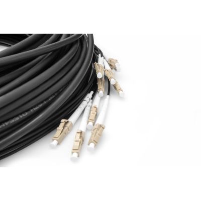 3. Digitus Factory-terminated universal fiber optic breakout cable, multimode OM4, 12 fibers, LC/UPC - LC/UPC