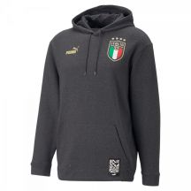 Puma Figc Ftbl Coulture Hoody M 767136-09
