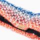 2. Elbrus Kalnai W headband 92800553520