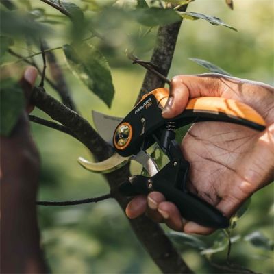 4. Fiskars Plus PowerLever P721 Pruning Shears