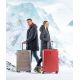17. Iguana Murcia II 97 suitcase 92800479885
