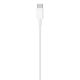 4. Apple USB-C to Lightning Cable (2 m)