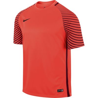 Nike Gardien M 725889-671 Goalkeeper Shirt