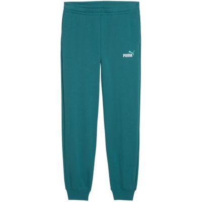 Puma ESS 2 Color No. 1 Logo Kids Pants Green 693892 41