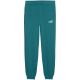Puma ESS 2 Color No. 1 Logo Kids Pants Green 693892 41