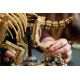 11. LEGO Jurassic World 77985 - Dinosaur Skeletons: Triceratops