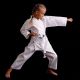 9. Karate kimono for children + free belt - DBX BUSHIDO ARK-3102 120 cm