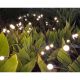16. SOLAR LAMP DANCING IN THE WIND WHITE BALLS 6 LED 72CM