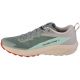 2. Shoes Salomon Sense Ride 5 M 472117