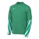 Nike Junior Dri-FIT Park V Goalkeeper Jersey HV8318-324