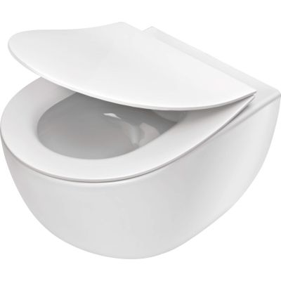 Wall-hung rimless toilet bowl