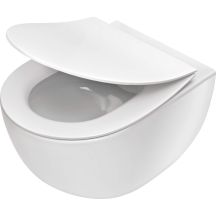 Wall-hung rimless toilet bowl