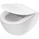Wall-hung rimless toilet bowl