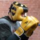 5. Yakima Tiger Gold V Boxing Gloves 10 oz 10039510OZ