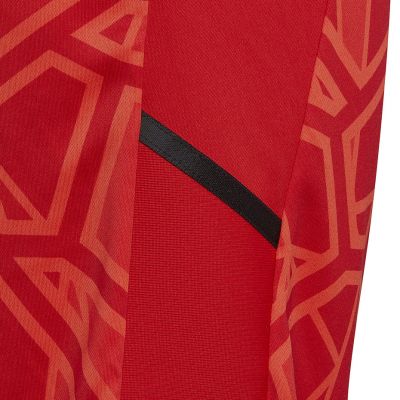 5. adidas Condivo 22 kids' goalkeeper shorts red H21243