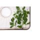 8. ELDOM DRYER FOR MUSHROOMS, VEGETABLES AND FRUIT SG520 400W TEMP. REGULATION 35-70 DEGREES, 5 LARGE TRAYS 32X25 CM, TIMER 05-24 H