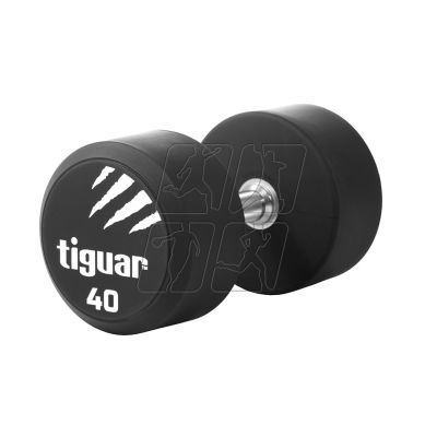 2. Tiguar PU dumbbell 40 kg TI-WHPU0400