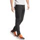 11. Men's adidas Terrex Xperior Light pants black IQ1399