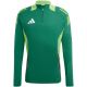 6. Adidas Tiro 24 Competition Training M IS1643 sweatshirt