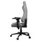 4. COUGAR CGR-EPF-ROA Universal Gaming Chair Grey