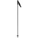 6. ROSSIGNOL Electra Premium Carbon Ski Poles - Black and Blue