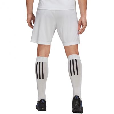 5. adidas Entrada 22 M HG6295 shorts