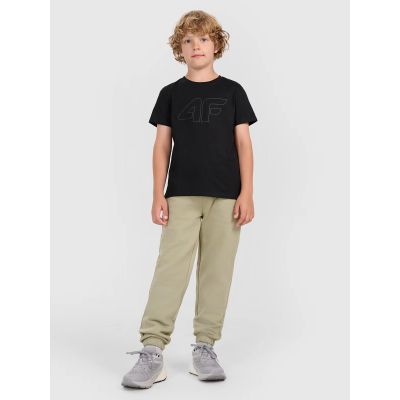3. Boy's printed T-shirt 4F 4FJWMM00TTSHM2331-20S
