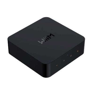 3. WiiM Pro Plus - Network Player