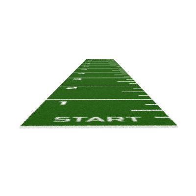 2. tiguar sprint track 10m/1m green