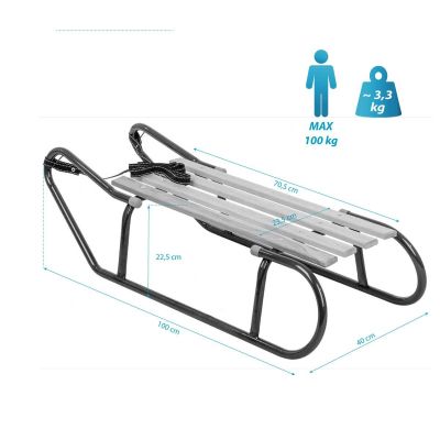 6. Metal Sled for 2 People, Blue