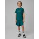6. Boy's quick-drying sports T-shirt 4F 4FJRSS26TFTSM2390-46S