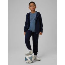 Boys' jogger sweatpants 4F 4FJRMM00TTROM1823-31S