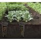 2. UNDERGROUND GARDEN COMPOST BIN COMBIOSOIL 11L BLACK