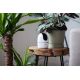 4. Imou A1 4MP Spherical IP Security Camera Indoor 2560 x 1440 px Ceiling/Wall