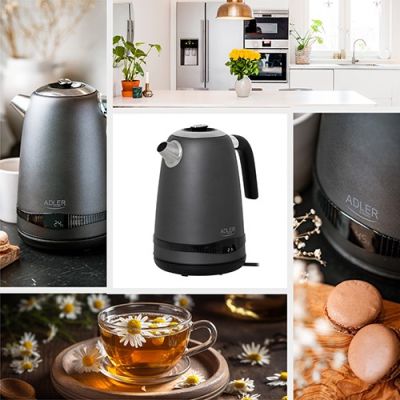 12. ADLER AD 1295g electric kettle, gray