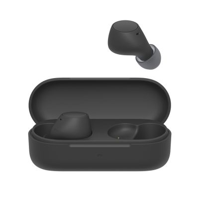 2. Sony WF-C510 Truly Wireless Headphones, Black