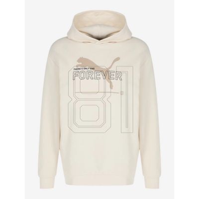 Puma FD Ess Btr M sweatshirt 673293 99