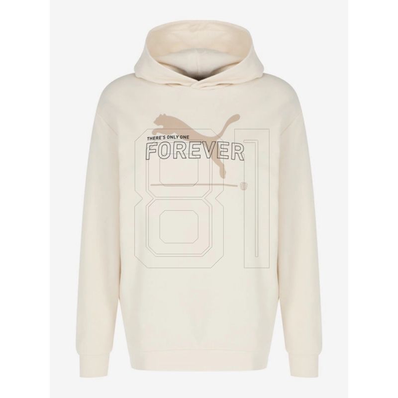 Puma FD Ess Btr M sweatshirt 673293 99