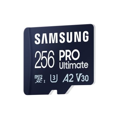 2. Samsung MB-MY256S 256 GB MicroSDXC UHS-I