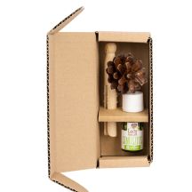 Pani Szyszka VERTICAL SINUSITIS Set 1 x Pani Szyszka + 1 blend of essential oils (LP-VERTICAL-SINUSITIS)