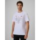 Men's fan t-shirt 4F 4FRSS26TTSHM4438-10S