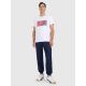 3. Men's regular printed T-shirt 4F 4FRAW25TTSHM3224-10S