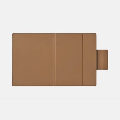 6. Magnetic Case Onyx Boox Go 10.3 Lumi, Brown