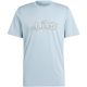 6. adidas Illustrated Linear Graphic M IS2867 T-shirt