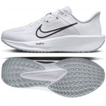 Nike Quest 6 M FD6033-100 shoes