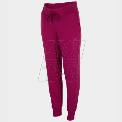 6. 4F W trousers H4Z22-SPDD350 53S