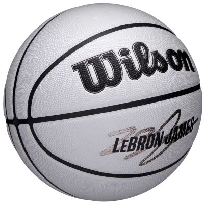 2. Wilson NBA Player Icon Uv Bskt Lebron Basketball WZ4030501XB